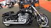 2015 Harley Davidson Vrsc V Rod Muscle Walkaround 2015 Salon Moto De Montreal