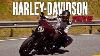 Andamos Com A Harley Davidson Sport Glide 2019 An Lise E Impress Es Moto Premium Harley Davidson