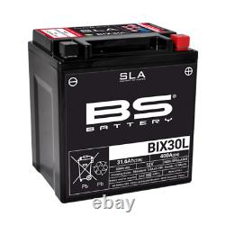 Batterie SLA BS Battery pour Moto Harley Davidson 1900 FLHTKSE CVO Limited 1923