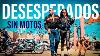 Desesperados Y Sin Motos Vamos A Agencia Harley Davidson A Mirarlas
