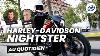 Harley Davidson Nightster 975 Cm3 Essai 2022