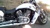 Harley Davidson Vrod Muscle 2011 Pour Www Objectif Moto Com