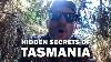 Hidden Secrets In Tasmania Epic Harley Davidson Motovlog