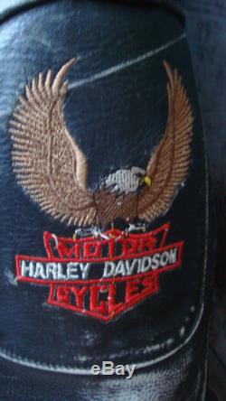 Perfecto moto Harley Davidson Vintage en cuir