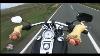 Video Une Harley Au Tourist Trophy Moto Journal